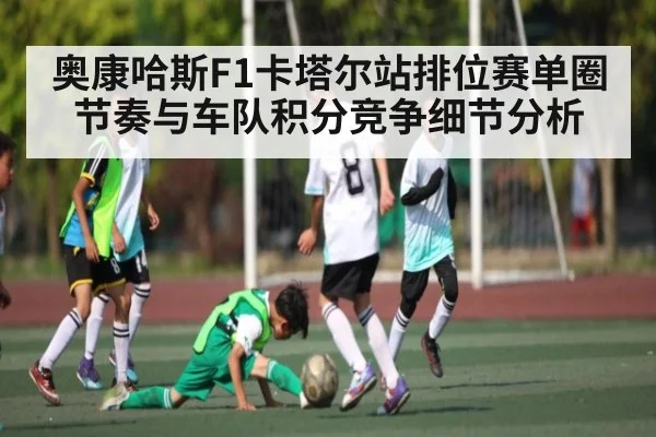 奥康哈斯F1卡塔尔站排位赛单圈节奏与车队积分竞争细节分析