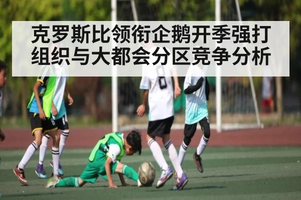 克罗斯比领衔企鹅开季强打组织与大都会分区竞争分析